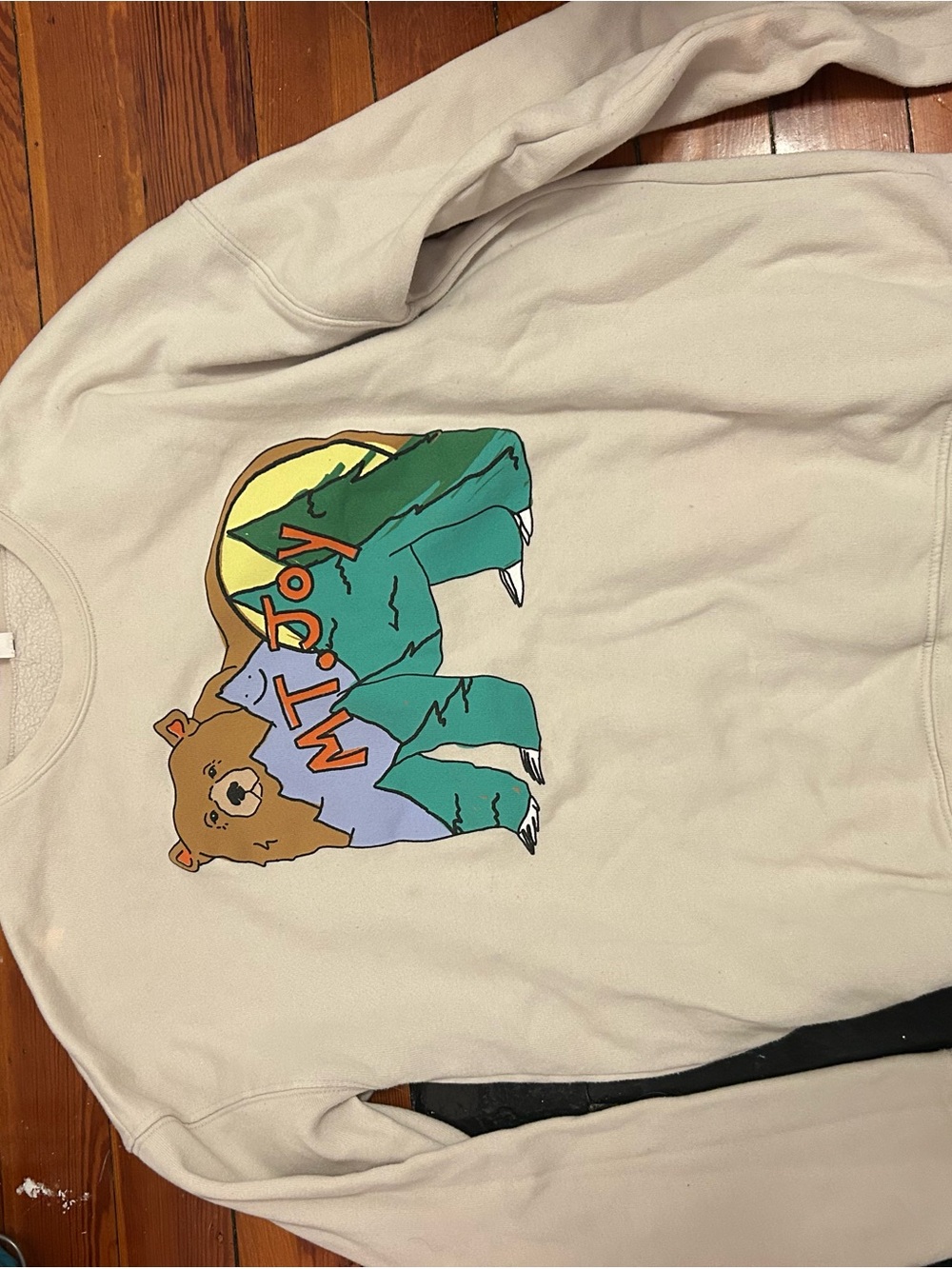 Mt. Joy Crewneck Sweatshirt with Colorful Bear Graphic
